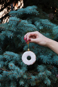 Cropped image of hand decorating christmas tree
