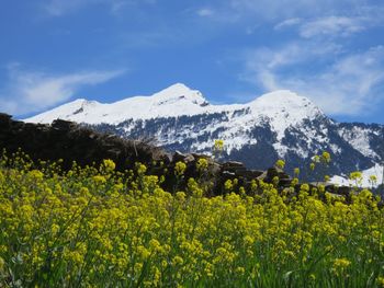 Scenic view of landscape against cloudy sky