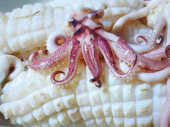 Close-up of chopped vegetables