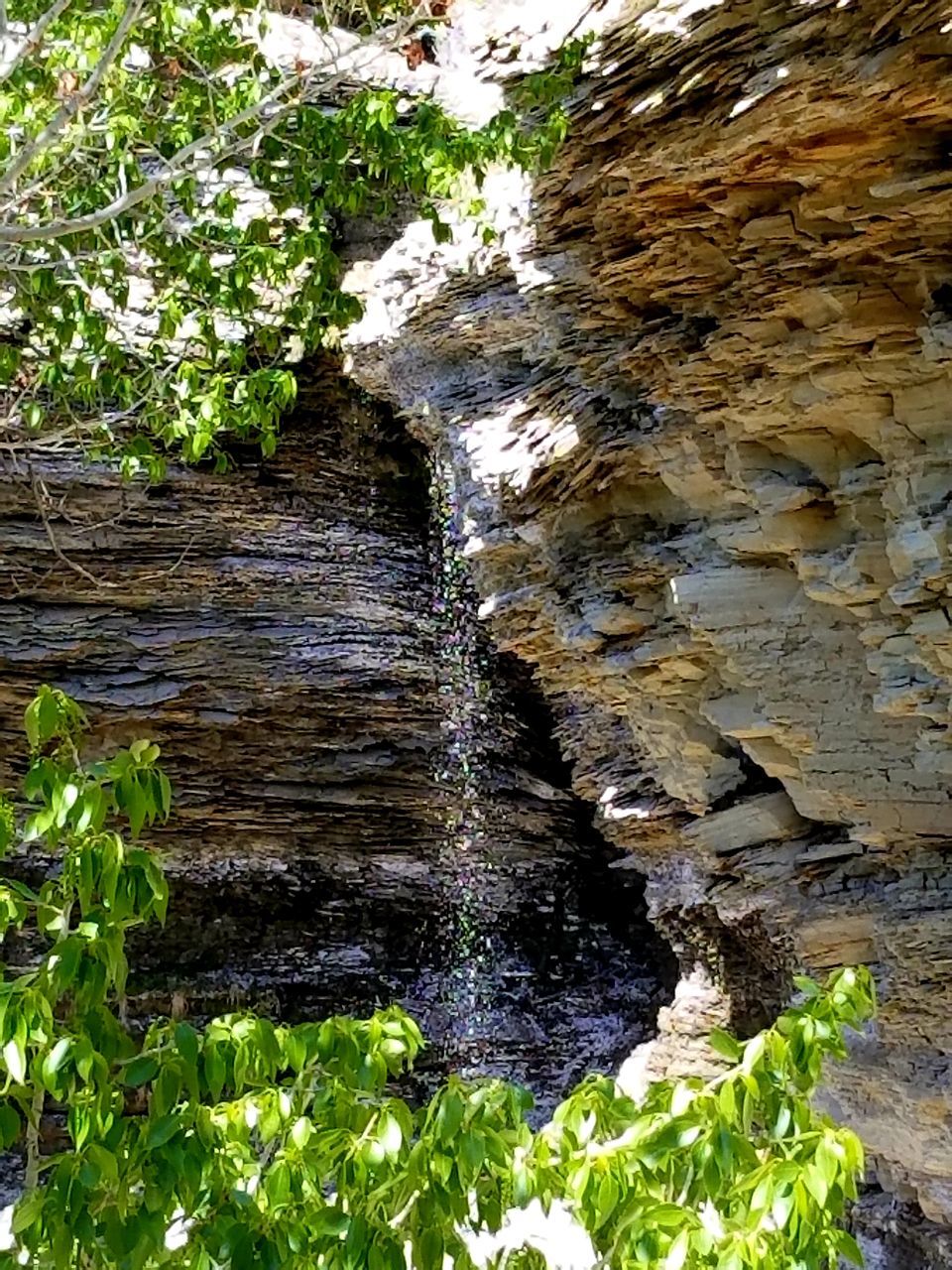 WATER FLOWING THROUGH ROCKS IN FOREST