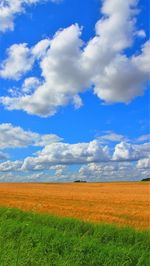 Scenic view of field against blue sky