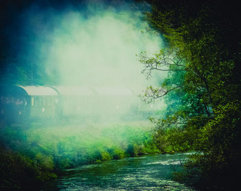 Road passing through trees
