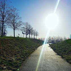 Sun shining over trees against sky