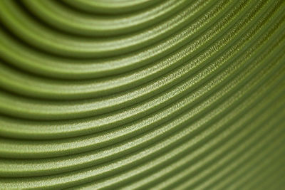 Full frame shot of abstract pattern