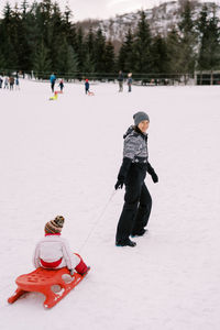 Rear view of woman with dog on snow covered field