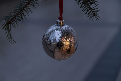 Close-up of bauble on christmas tree