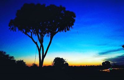 Silhouette of trees against sky at sunset