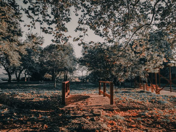 Trees on field against sky