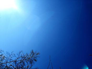 Low angle view of bare tree against clear blue sky