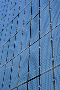 Low angle view of plants against blue sky