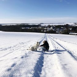 View of dog on snow covered landscape