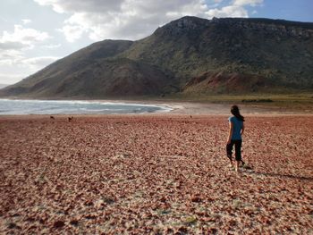 Rear view of man standing on beach against sky