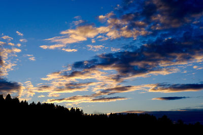 Low angle view of silhouette trees against sky