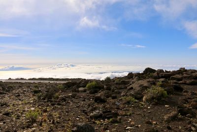 Scenic view of landscape against sky