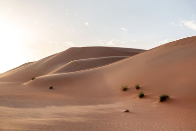 Natural sand dunes landscape in the desert in abu dhabi in uae