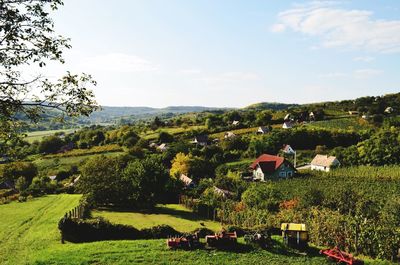 Scenic view of agricultural field against sky