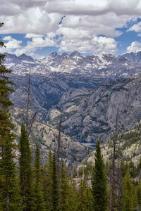 Aerial view of pine trees and mountains against sky