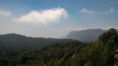 Scenic view of forest against sky