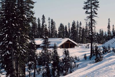 House on snow covered landscape