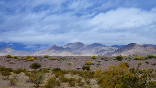 Scenic view of field by mountains against sky