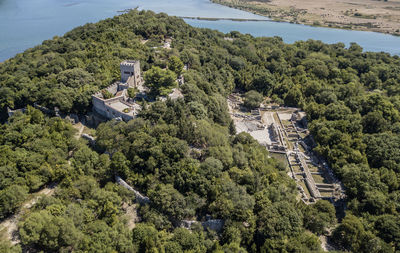 High angle view of trees and plants