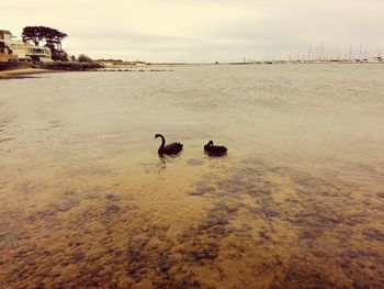 View of sea through water