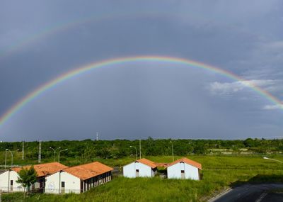 Rainbow over buildings against sky