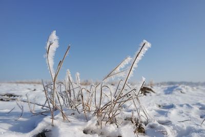 Snow covered land against sky