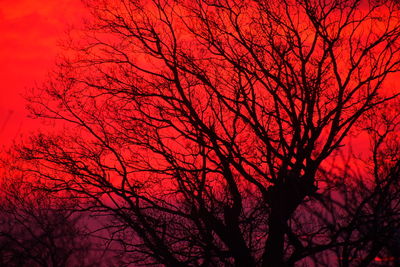 Low angle view of bare trees against sky at sunset