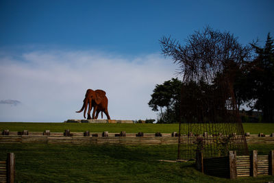 Horses on field against sky