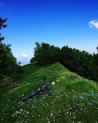 Scenic view of field against clear sky