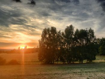 Scenic view of trees against sky during sunset