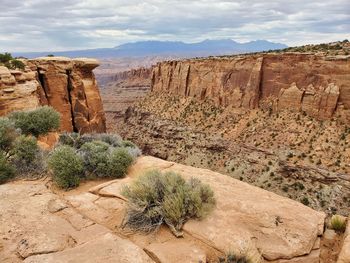 Plants growing on rock against sky