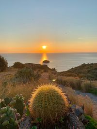 Scenic view of sea during sunset