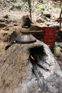 Wooden log on rock