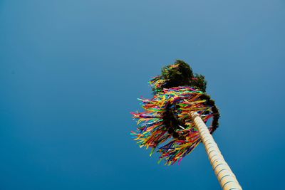 Low angle view of flowering plant against clear blue sky