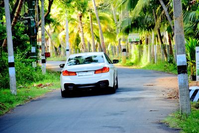 Car on street in city