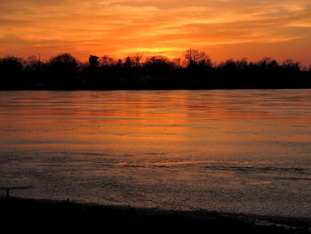 Scenic view of silhouette trees against orange sky