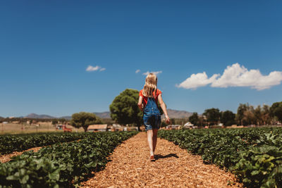 Girl walking through strawberry fields