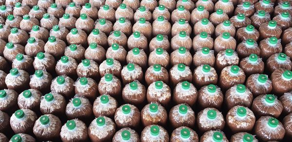 Full frame shot of candies for sale