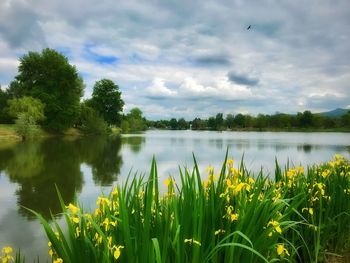 Scenic view of lake against sky