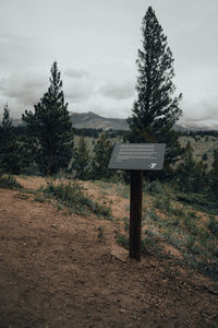wilderness