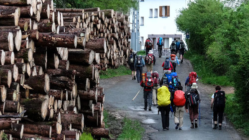 Rear view of people walking along country road