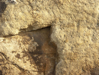 Close-up of rock on wall