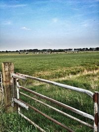 Scenic view of grassy field against sky