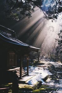 Scenic view of lake in forest