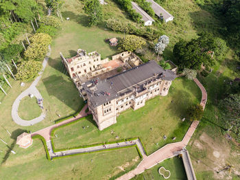 High angle view of road amidst trees on field