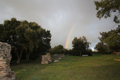 Scenic view of grassy field against sky