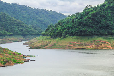 Scenic view of river amidst trees against sky