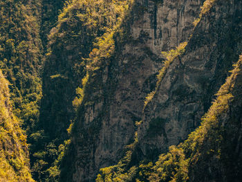 Green mountains layers landscape with ravine texture from the cañon san cristobal in puerto rico.